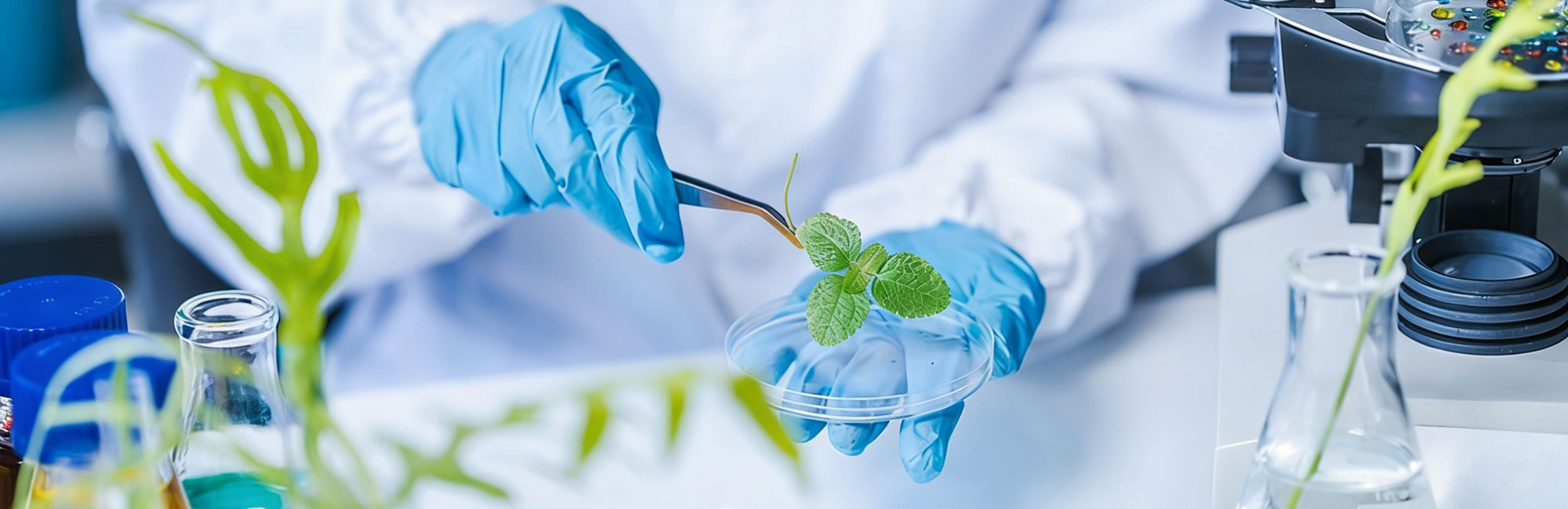 Custom Formula Development