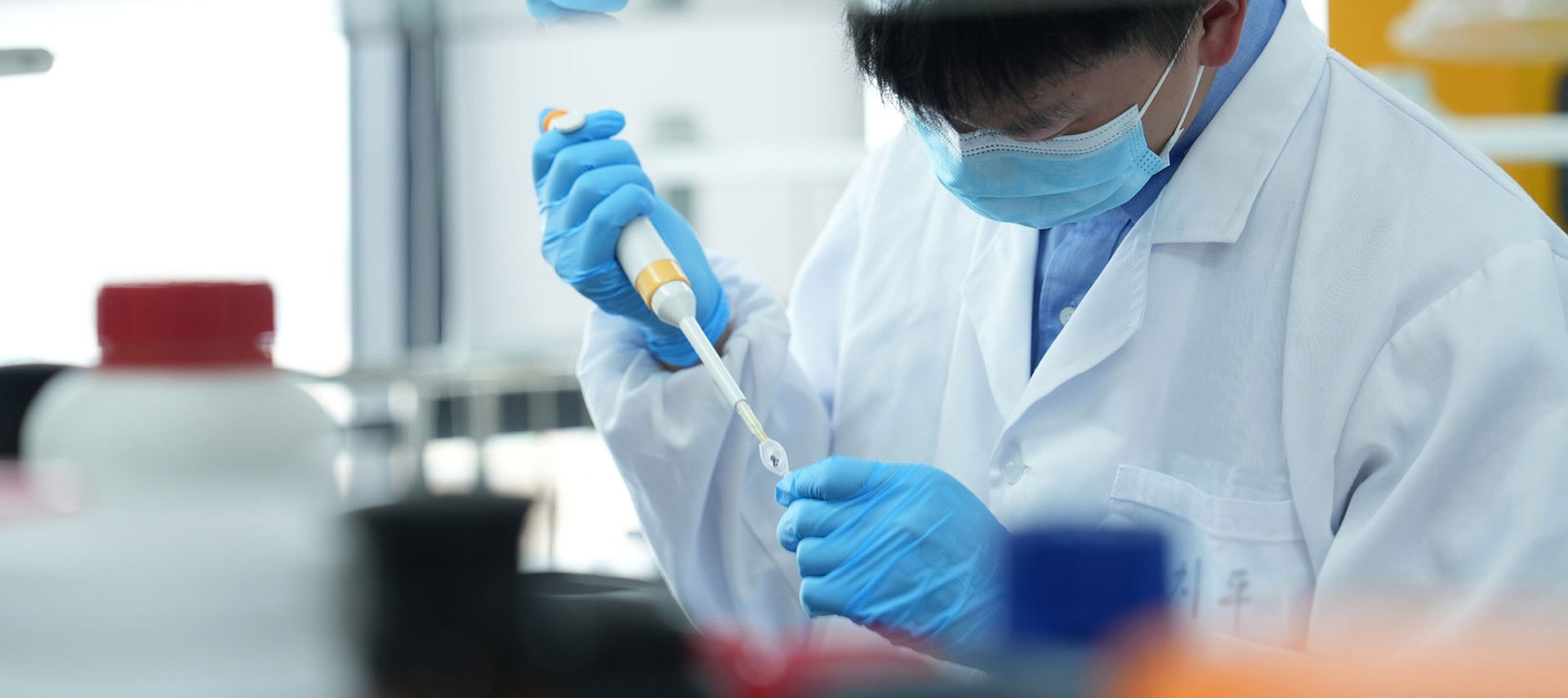 Professional Natural Botanical Extracts Supplier since 2000