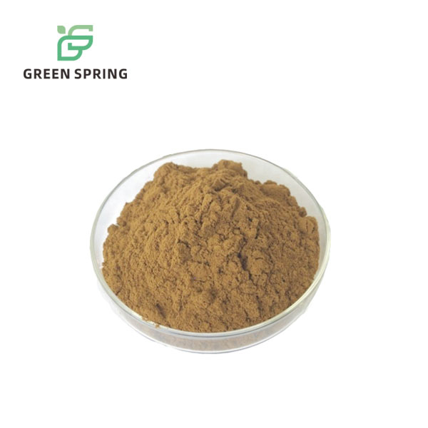 Lion’s Mane Mushroom Extract