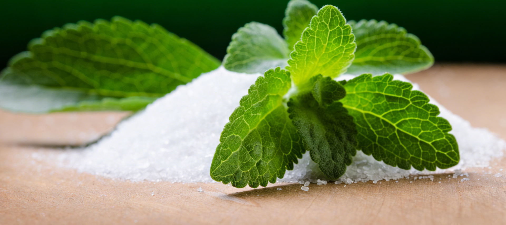 Professional Natural Botanical Extracts Supplier since 2000