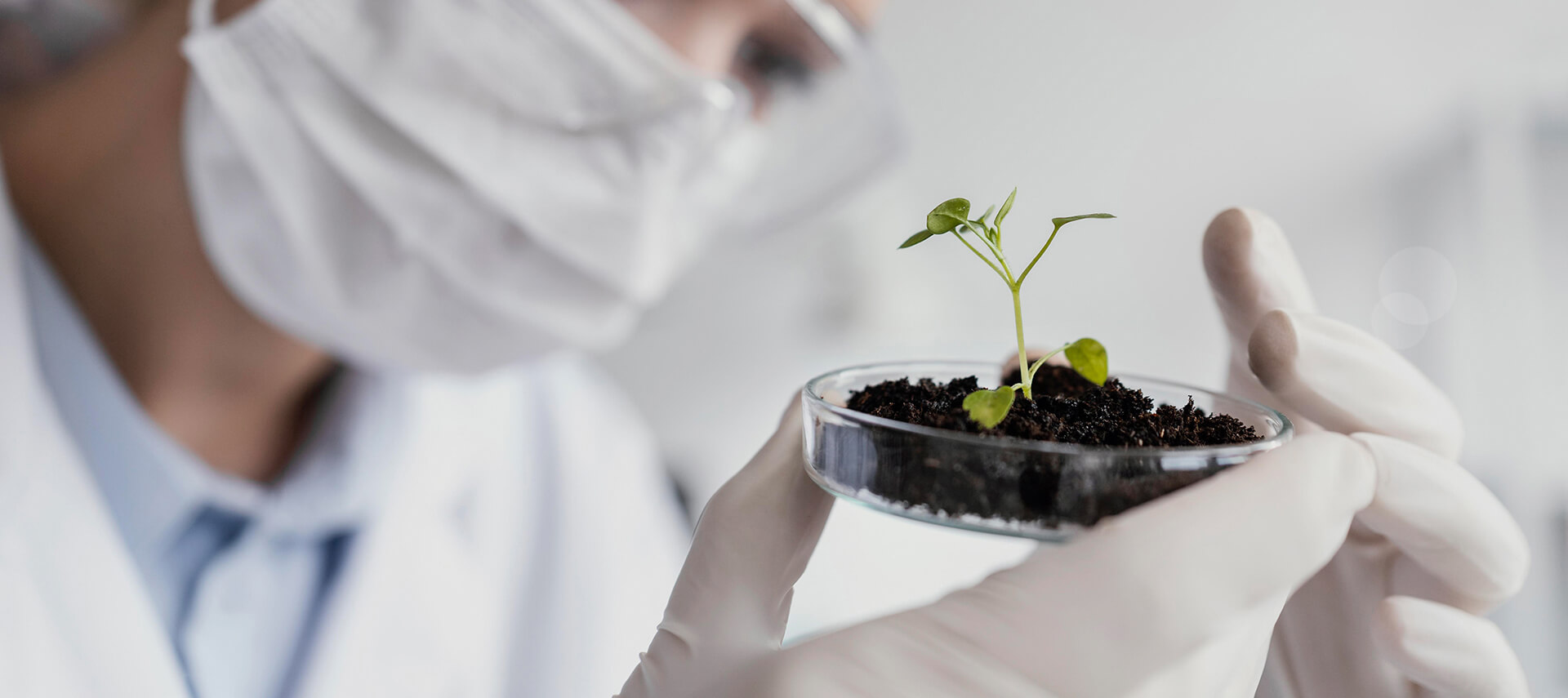 Professional Natural Botanical Extracts Supplier since 2000