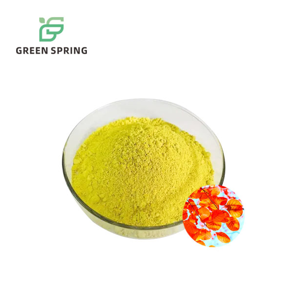 Cotinus Coggygria Extract Fisetin Powder