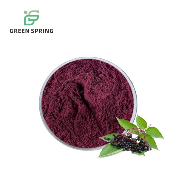 Elderberry Extract Powder