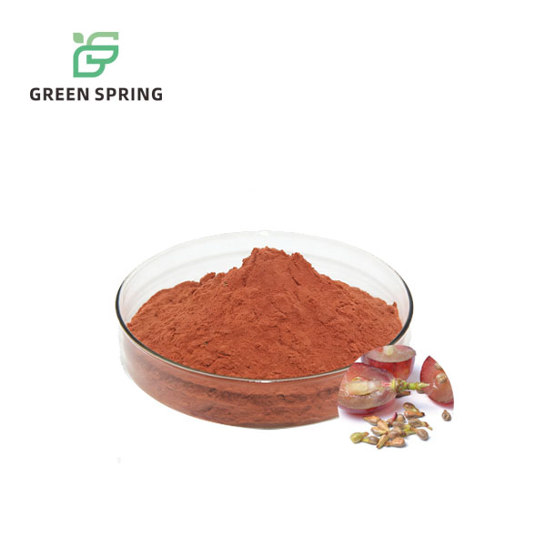 Grape Seed Extract Powder