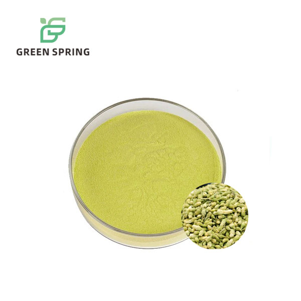 Sophora japonica Extract Rutin Powder