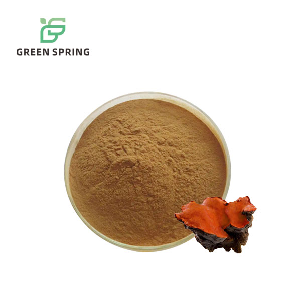 Antrodia Camphorata Extract Powder