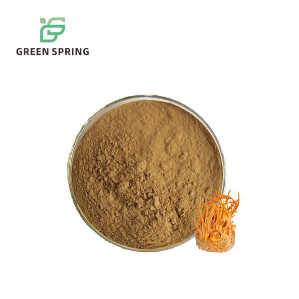 Cordyceps Militaris Extract Powder