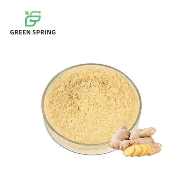 Ginger Root Extract Gingerol Powder