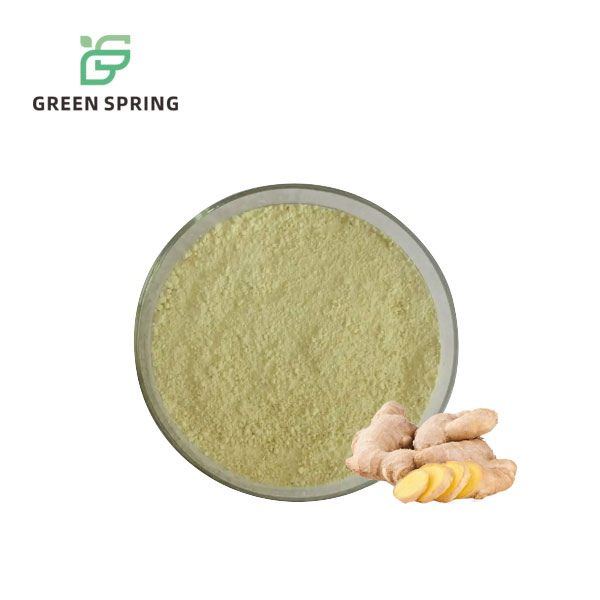Ginger Root Extract Gingerol Powder