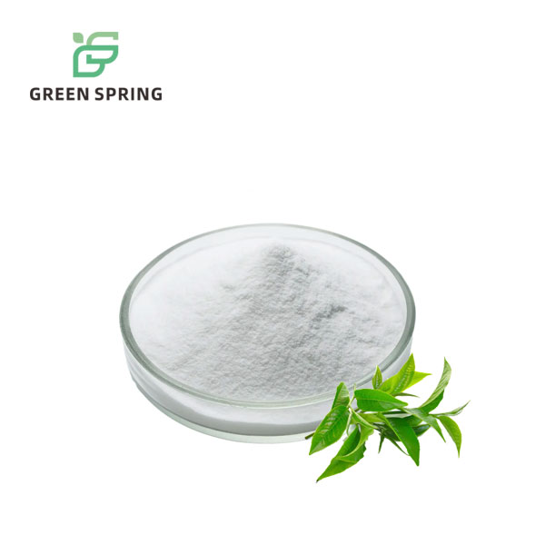 Green Tea Extract Polyphenol EGCG Powder