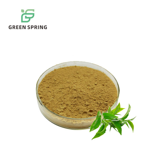 Green Tea Extract Polyphenol EGCG Powder