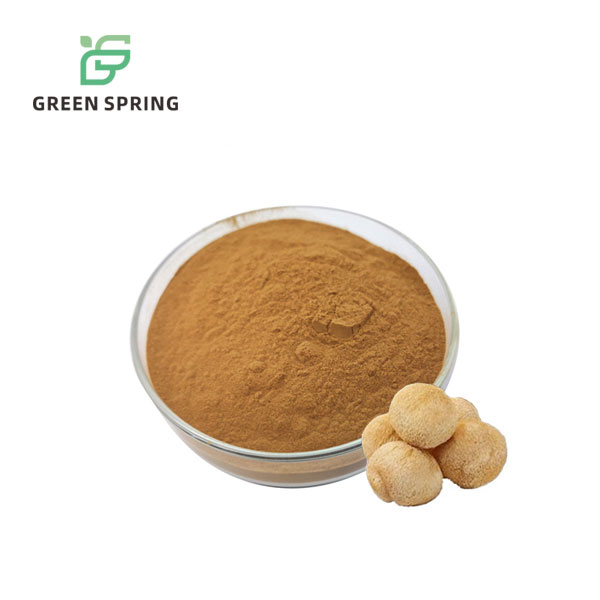 Organic Lion’s Mane Mushroom Extract (Hericium Erinaceus) Powder