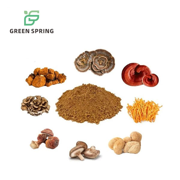 Organic Mushroom Extract Blend Powder