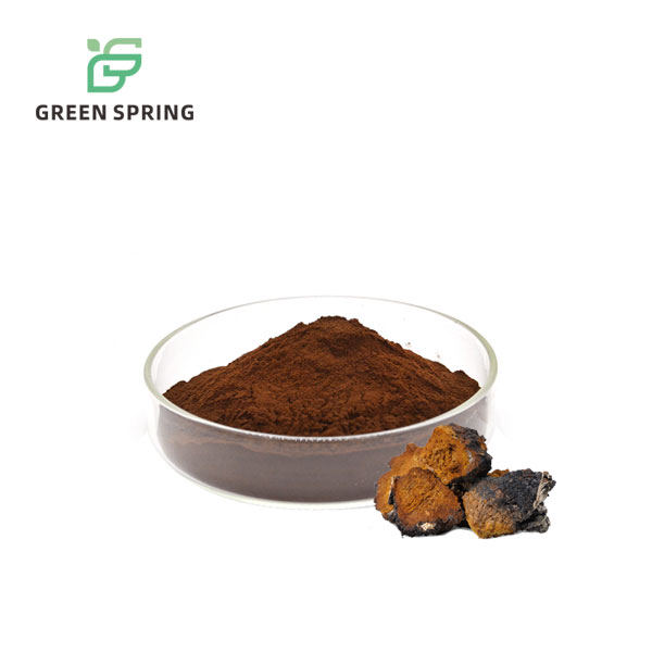 Chaga Mushroom Extract Powder