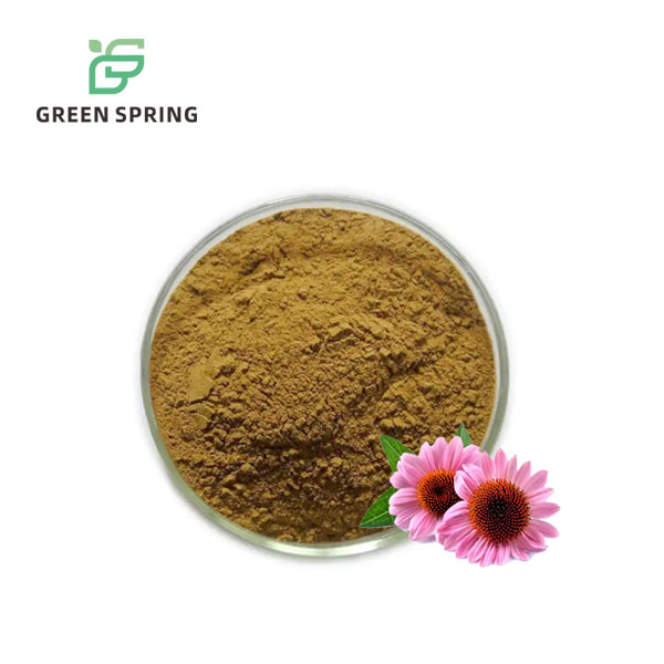 Echinacea Purpurea Extract Powder
