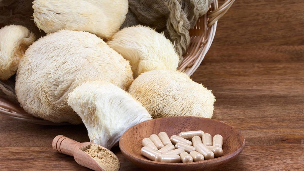 Mushroom Extract VS. Mushroom Powder：How to choose?