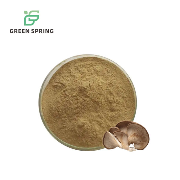 Oyster Mushroom Extract/Pleurotus Ostreatus Extract Powder