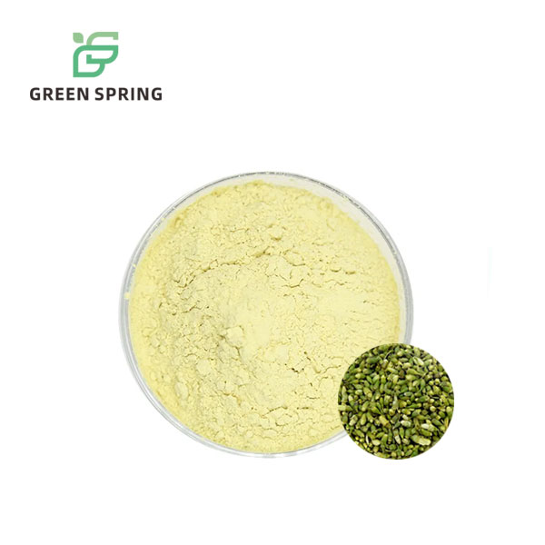 Sophora Japonica Extract Luteolin Powder