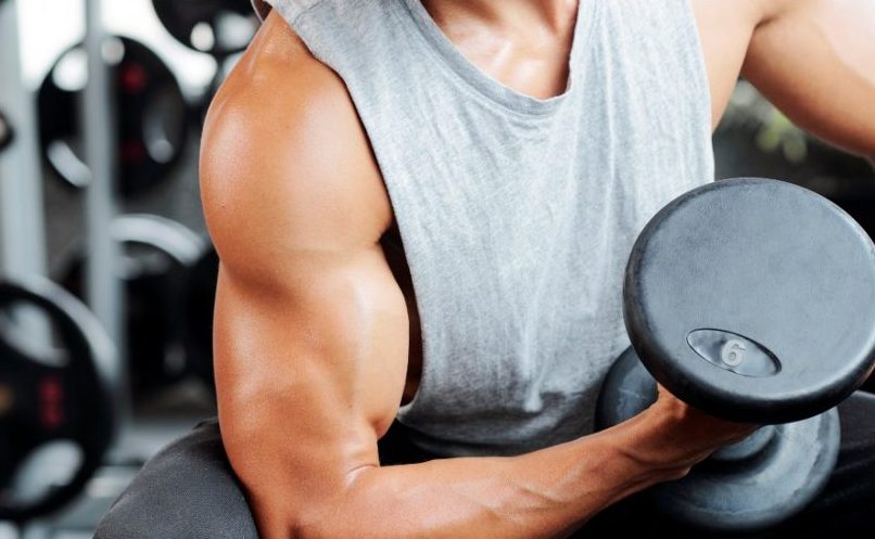 Different Forms Creatine Differences：Monohydrate vs. HCL vs. Micronized