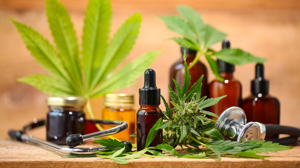 Top 10 Botanical Extracts for Modern Skincare