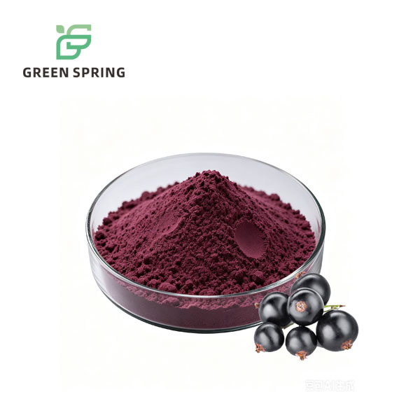Black Currant Extract Powder