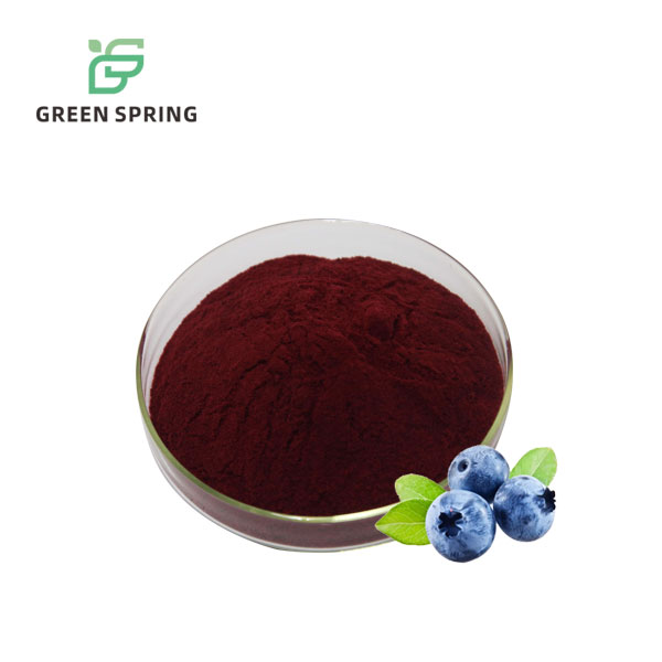 Blueberry Extract Powder