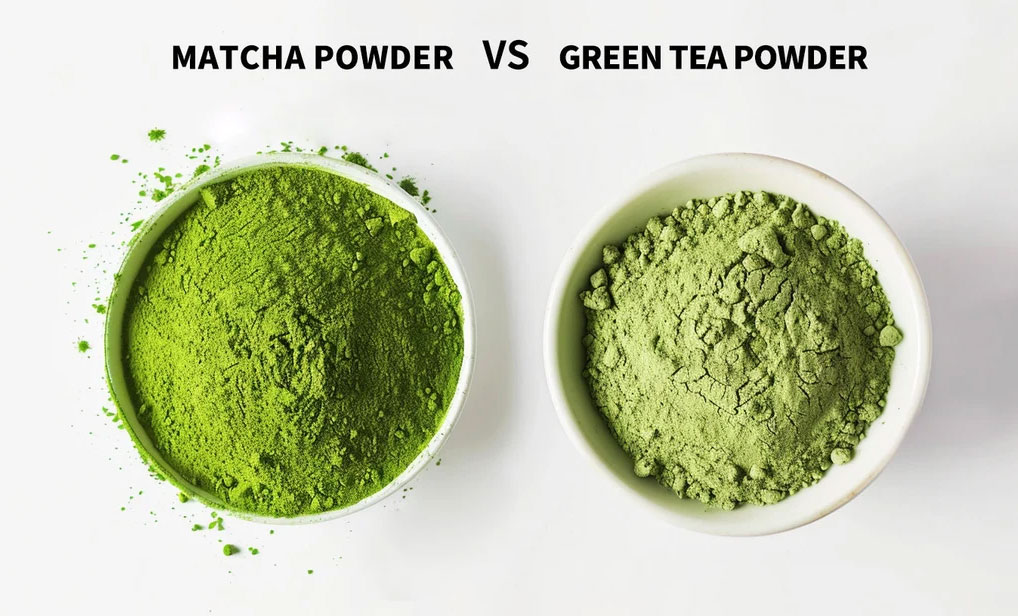 Matcha Powder vs. Green Tea Powder: How to Choose？
