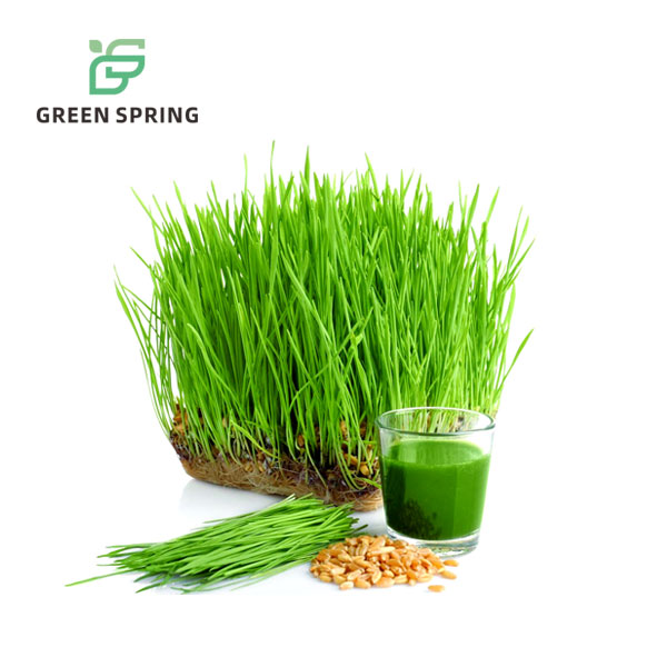 Organic Wheat Grass（Juice）Powder product image 2